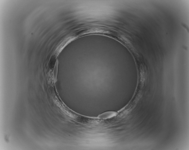 X0000099511369200806051137