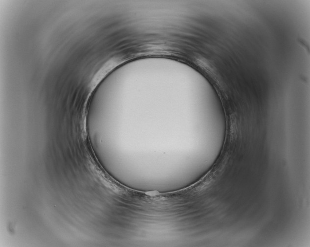 X0000099511370200806051136