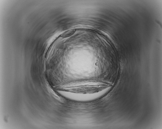 X0000099511371200806051136