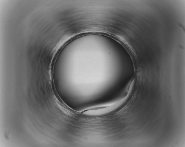 X0000099511372200806051136