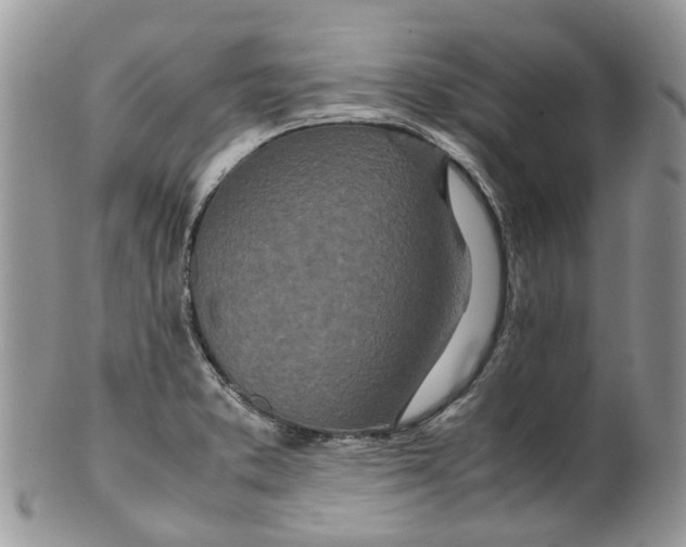 X0000099511373200806051136