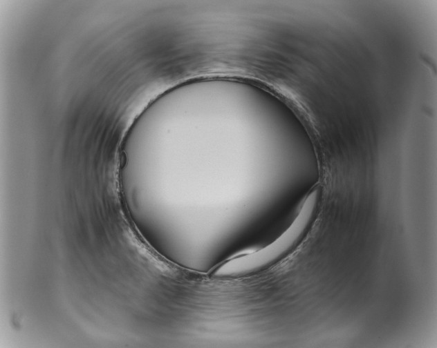 X0000099511374200806051136