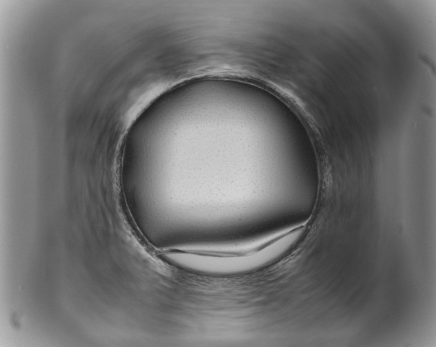 X0000099511375200806051136