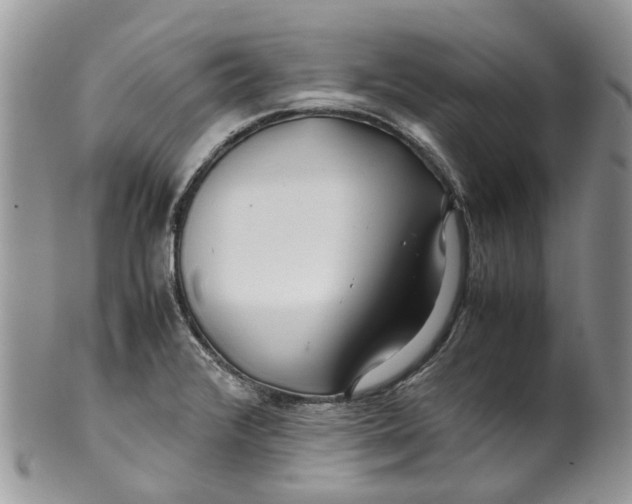 X0000099511376200806051136