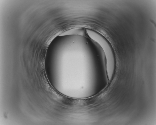 X0000099511377200806051136