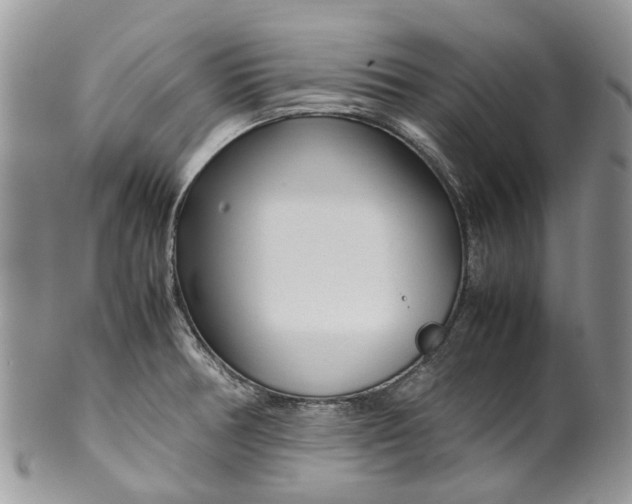 X0000099511378200806051136