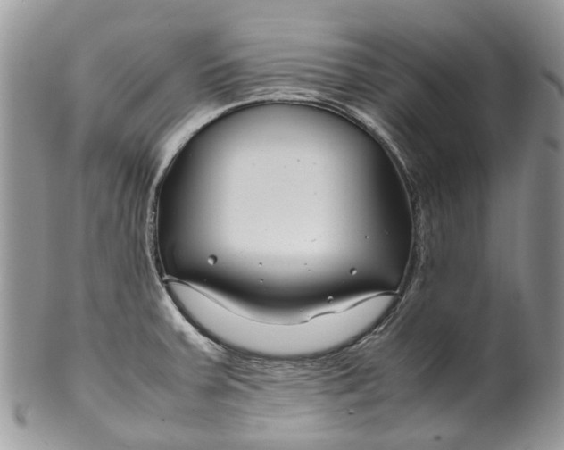 X0000099511379200806051136