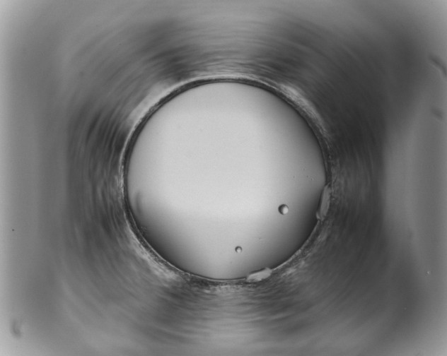 X0000099511380200806051136