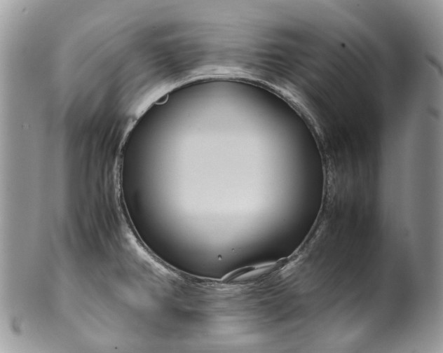 X0000099511382200806051136