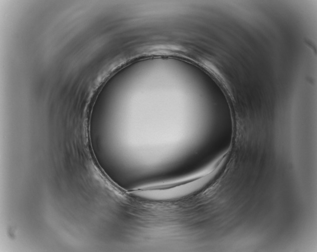 X0000099511384200806051136