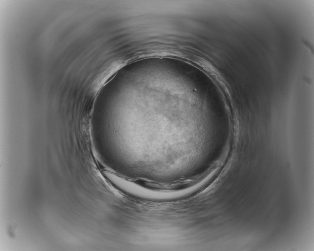 X0000099511385200806051136