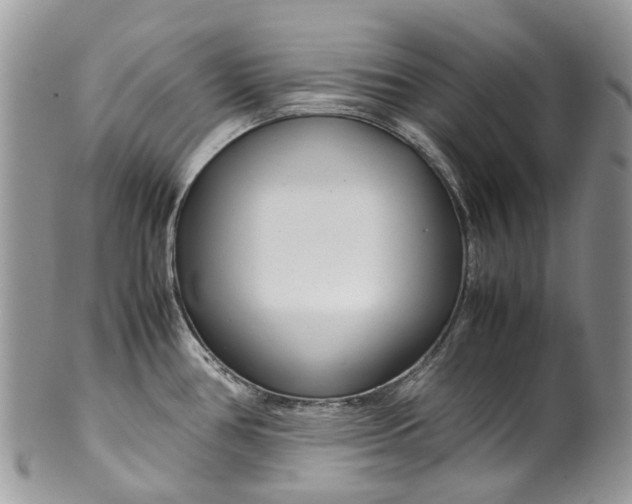 X0000099511386200806051136