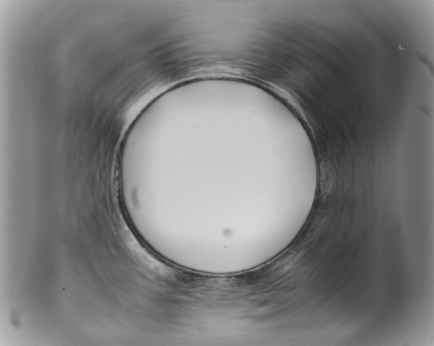 X0000099511387200806051136