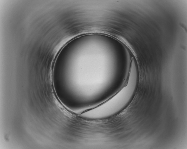 X0000099511388200806051136