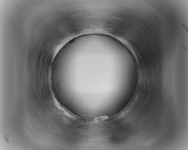 X0000099511390200806051136