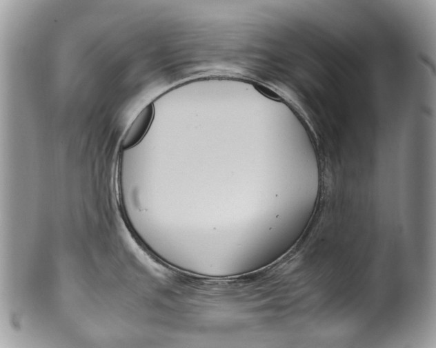 X0000099511391200806051136