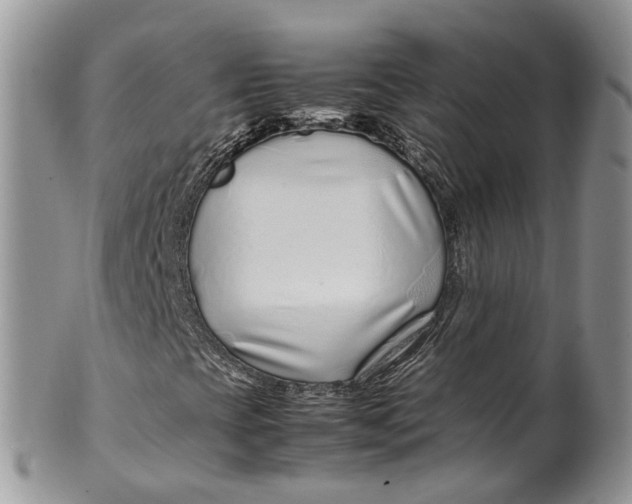 X0000099511393200806051135