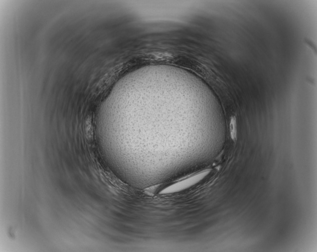 X0000099511395200806051136