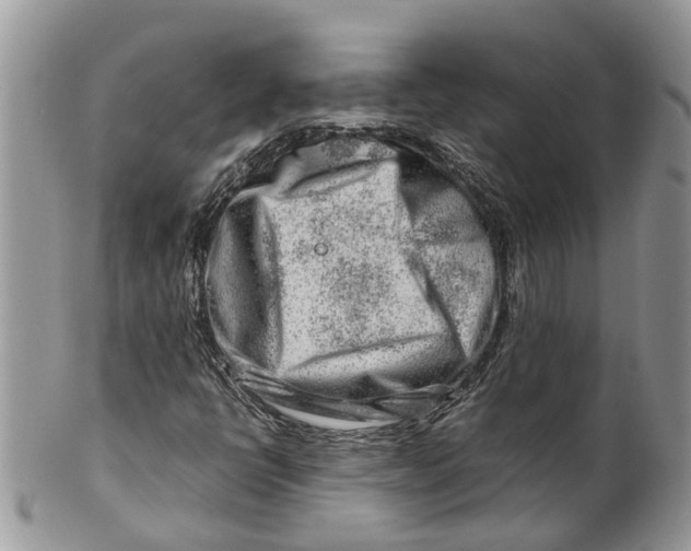 X0000099511398200806051136