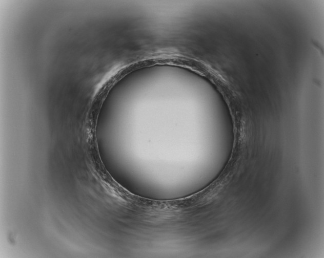 X0000099511400200806051136