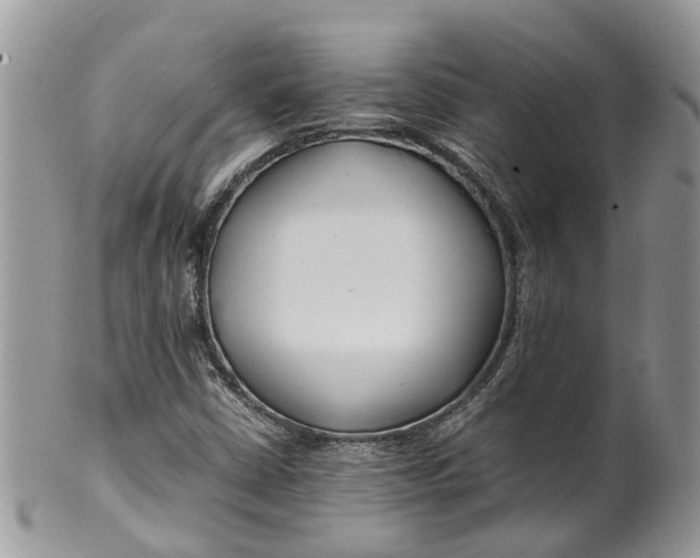 X0000099511402200806051136