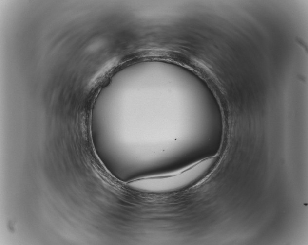 X0000099511403200806051136