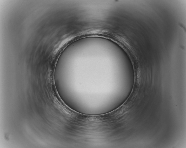 X0000099511404200806051136