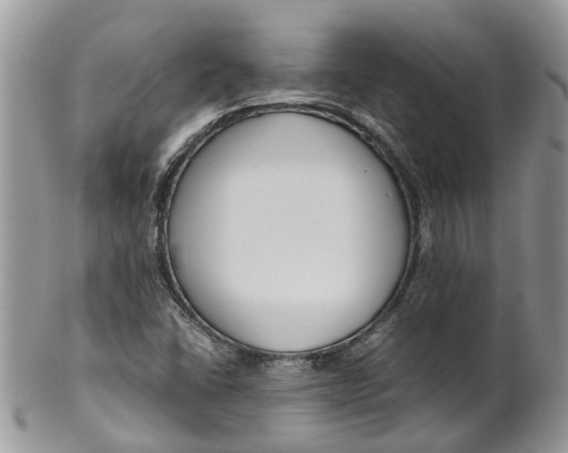 X0000099511406200806051136