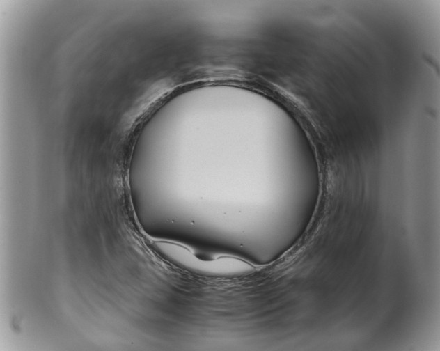 X0000099511407200806051136