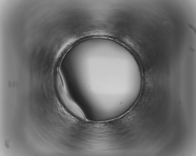 X0000099511408200806051136