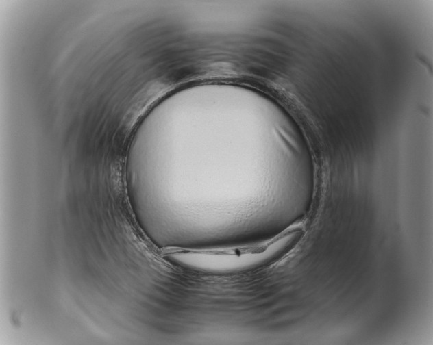 X0000099511409200806051136