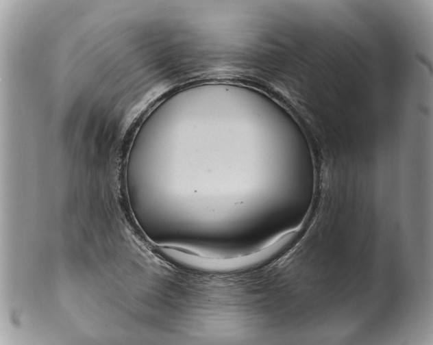 X0000099511410200806051136