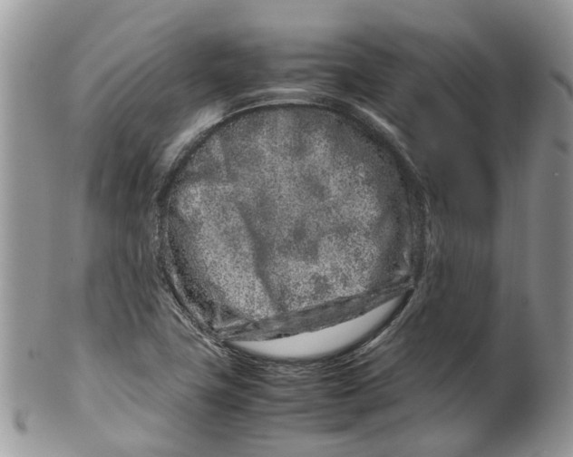 X0000099511411200806051136