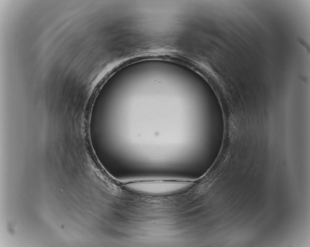 X0000099511412200806051136