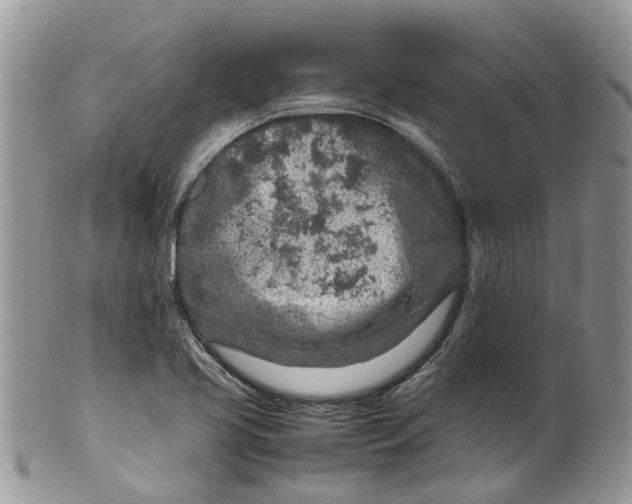 X0000099511413200806051136