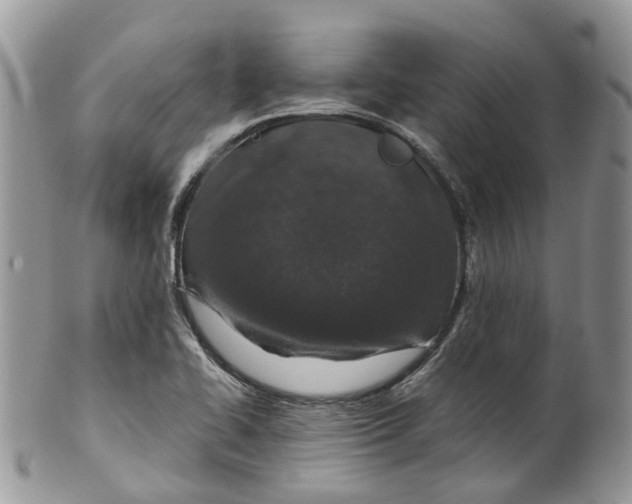 X0000099511414200806051136