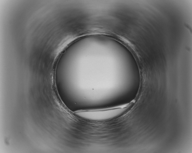 X0000099511415200806051136