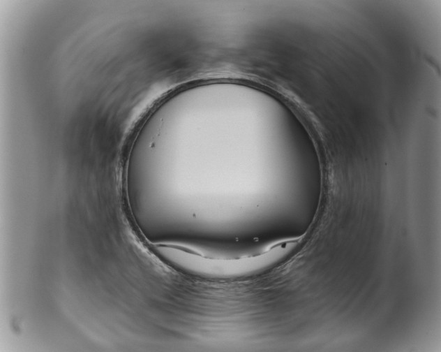 X0000099511416200806051136