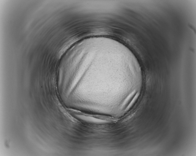 X0000099511417200806051136