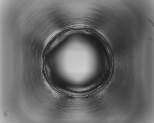 X0000099511418200806051136