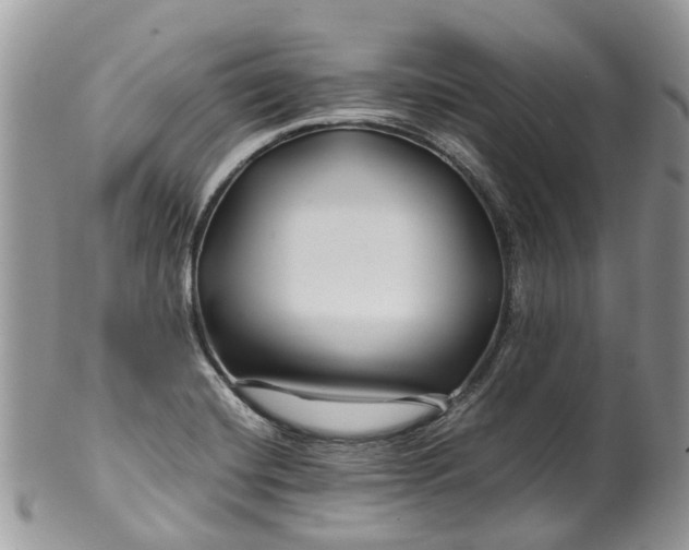 X0000099511420200806051136