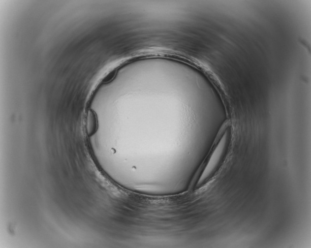 X0000099511421200806051136