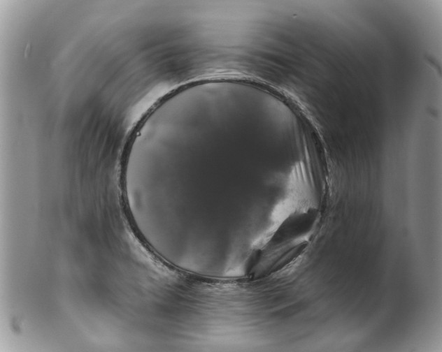 X0000099511422200806051136