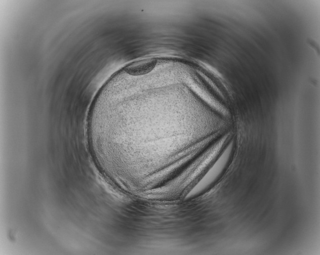 X0000099511423200806051136