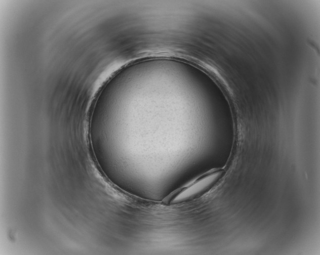 X0000099511424200806051136