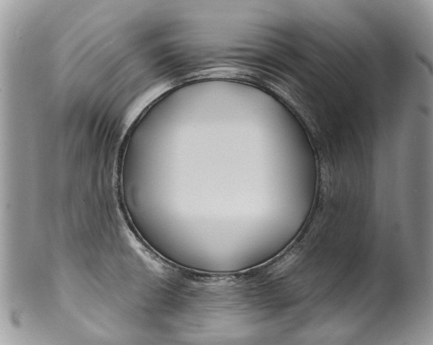 X0000099511426200806051136