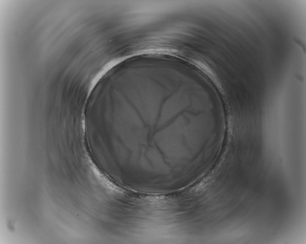 X0000099511428200806051136