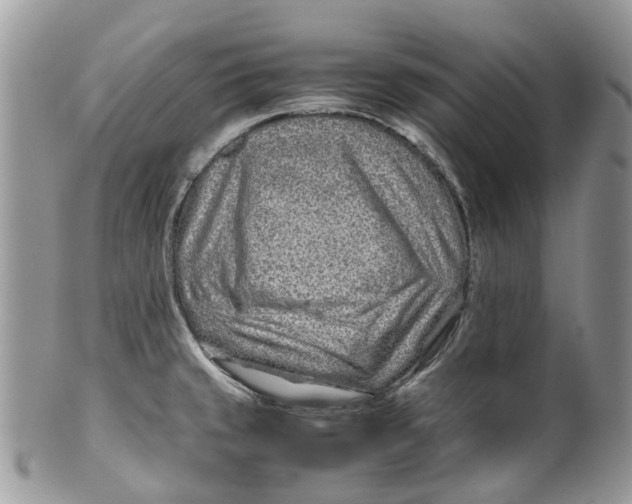 X0000099511429200806051136