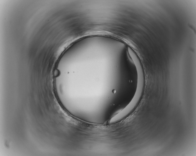 X0000099511430200806051136