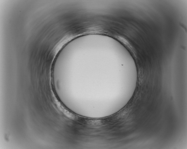 X0000099511431200806051136